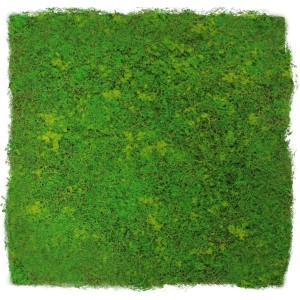 Jangal Wandpaneel mit Moos-Design, grüne Wanddekoration, 52x52 cm.