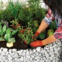 Rundes Bellissa Gabionen-Hochbeet (Ø 146 cm) bepflanzt mit Gemüse und Kräutern.