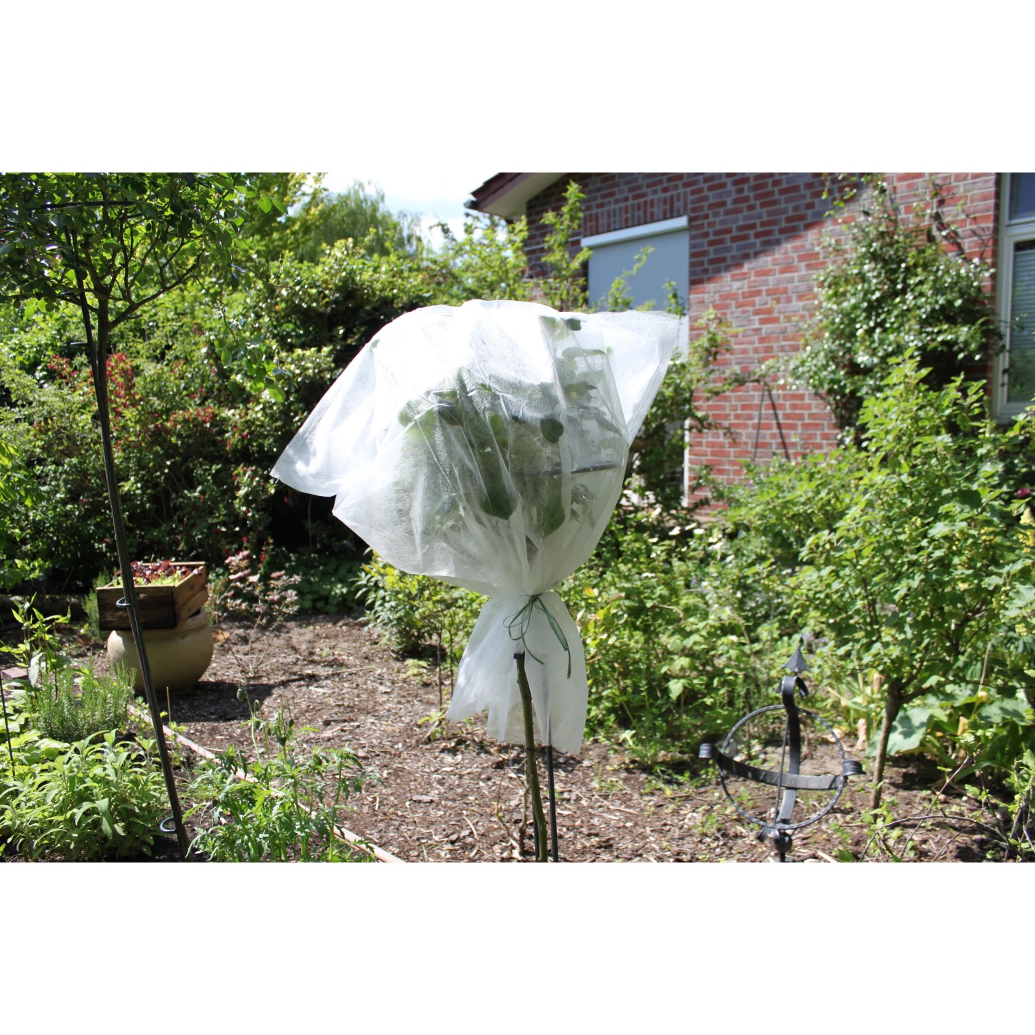 Videx Garden Winterschutz Vlies Duo Pack 150 cm x 500 cm Wei kaufen bei OBI