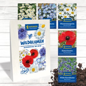 Blumensamen-Set 'Blütenfestival der Natur' von Kiepenkerl mit Wildblumenmischung, Kornblumen, Mohn, Margeriten und Gänseblümchen.