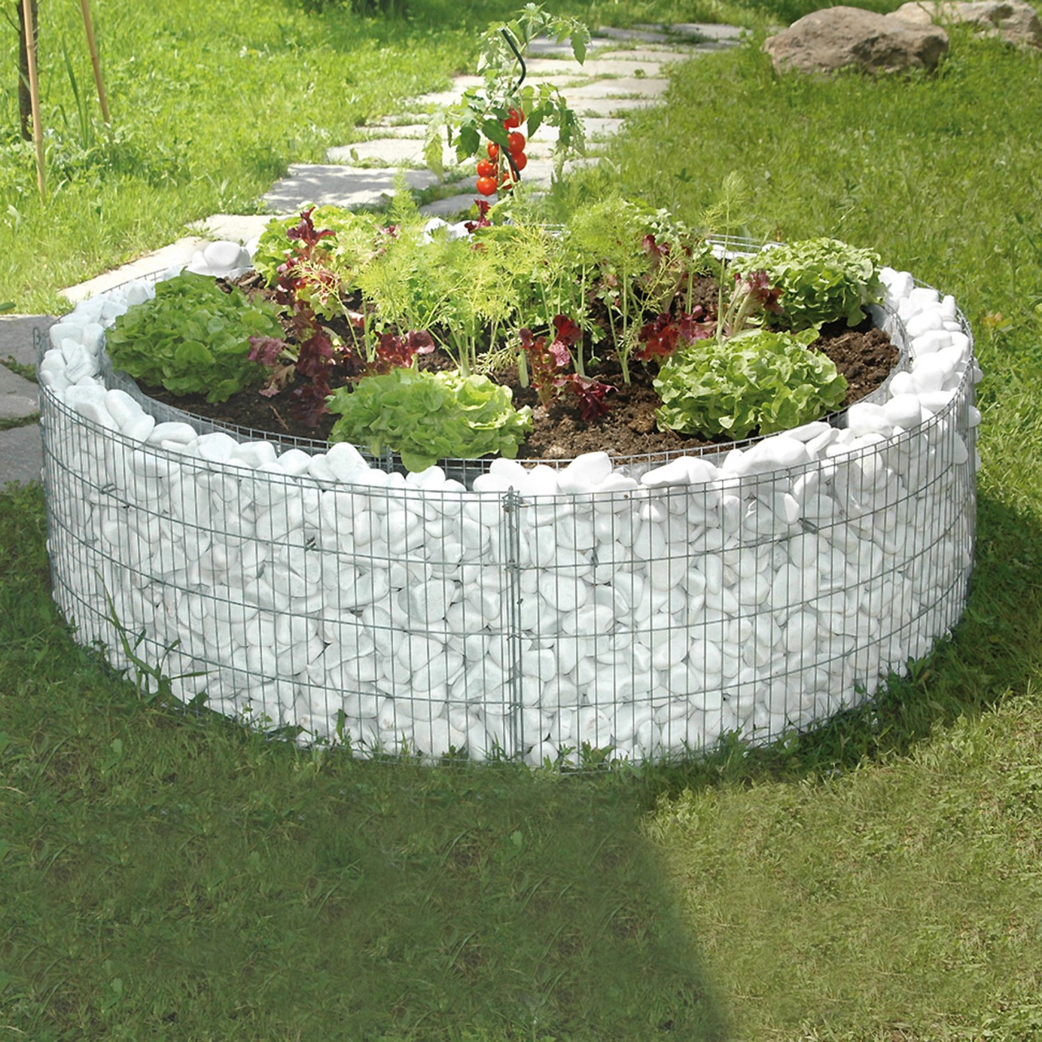 Rundes Bellissa Gabionen-Hochbeet (Ø 146 cm) mit weißer Steinbefüllung und Bepflanzung im Garten.