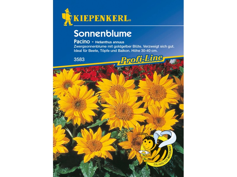 Sperli Blumensamen Sonnenblume (King Kong, Helianthus annuus, Blütezeit:  August)