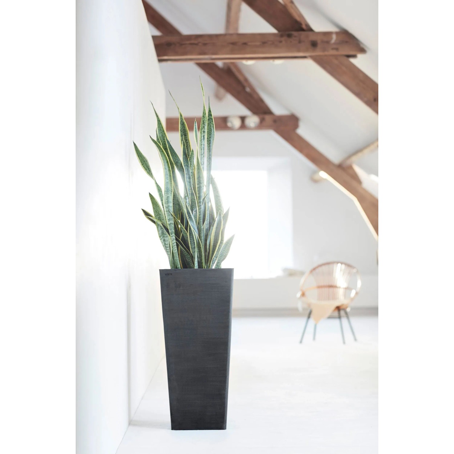 wie viel erde in 60 cm blumenkasten Balkonkasten Set Sommer Gräser – Green Me Up main image 0