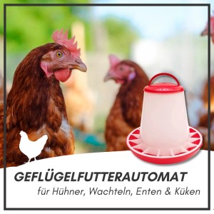 Weiß-roter Supravit Hühnerfutterautomat aus Kunststoff (6kg) mit Bajonettverschluss, umgeben von Hühnern.