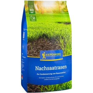 Kiepenkerl Rasensaat Kiepenkerl Nachsaatrasen 2 kg