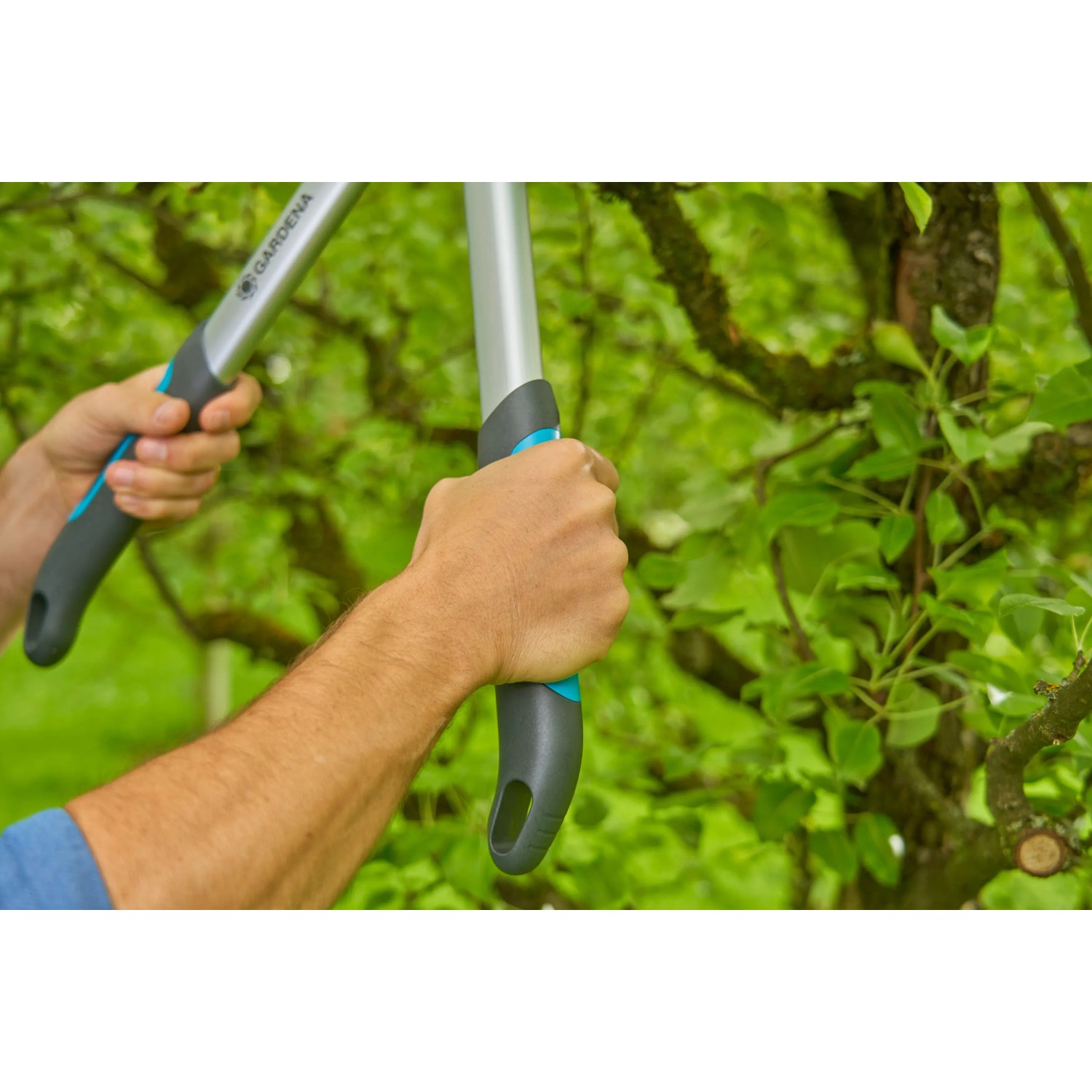 Gardena EasyCut S Astschere in Aktion: Baumschneiden leicht gemacht mit der Bypass-Schere.