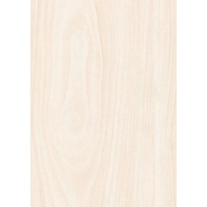 Dekor-Paneel Birnbaum Weiß für Wand und Decke, Holzoptik.