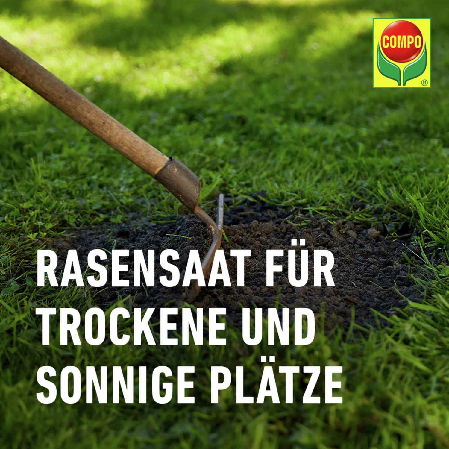 Compo Saat Trocken-Rasen: Harke im Boden, Rasensamen für trockene Standorte.