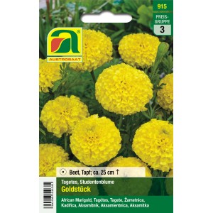 Austrosaat Studentenblume Goldstück Samen, gelbe Tagetes erecta Blüten.