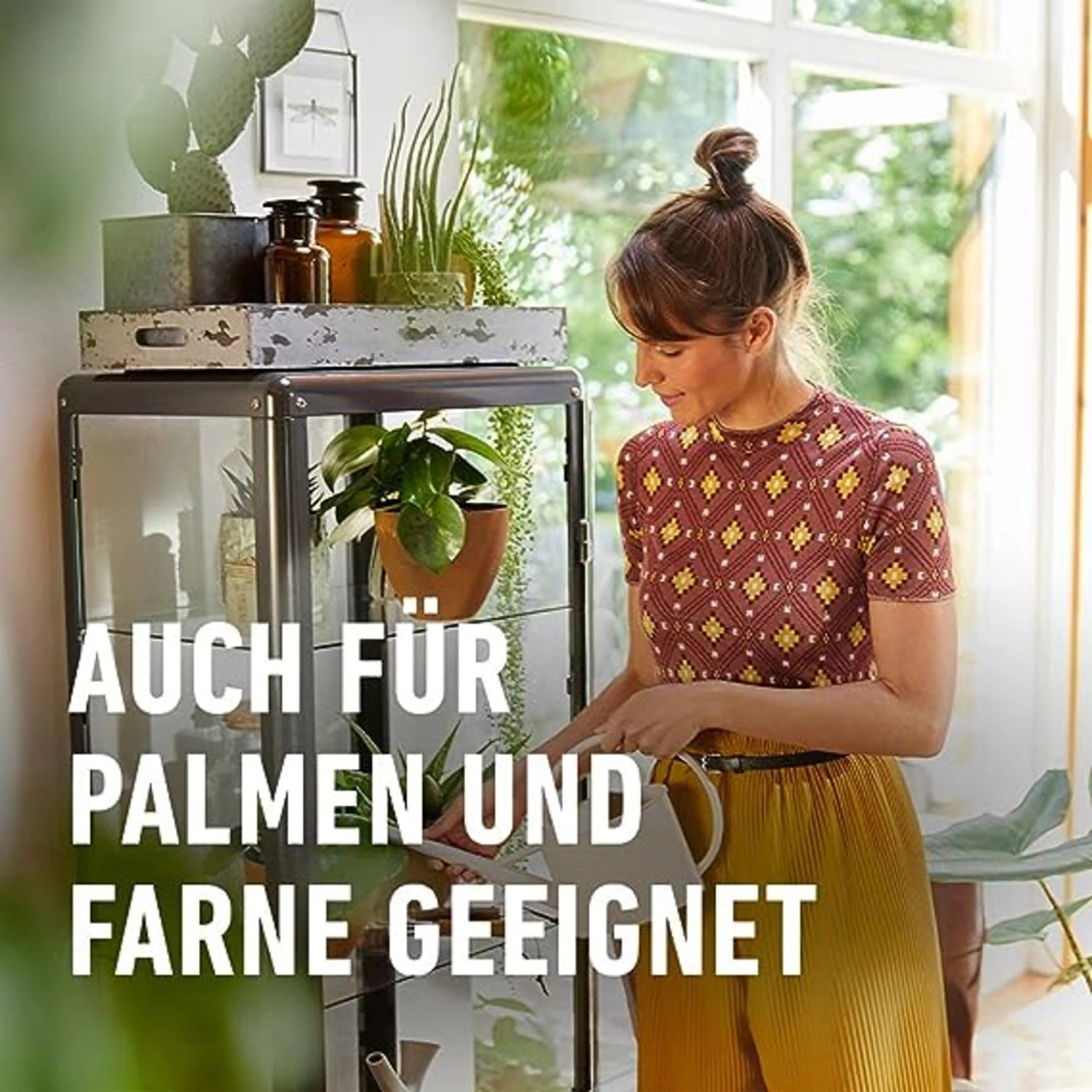 Compo Düngestäbchen für Grünpflanzen und Palmen mit Guano 30 Stäbchen_7