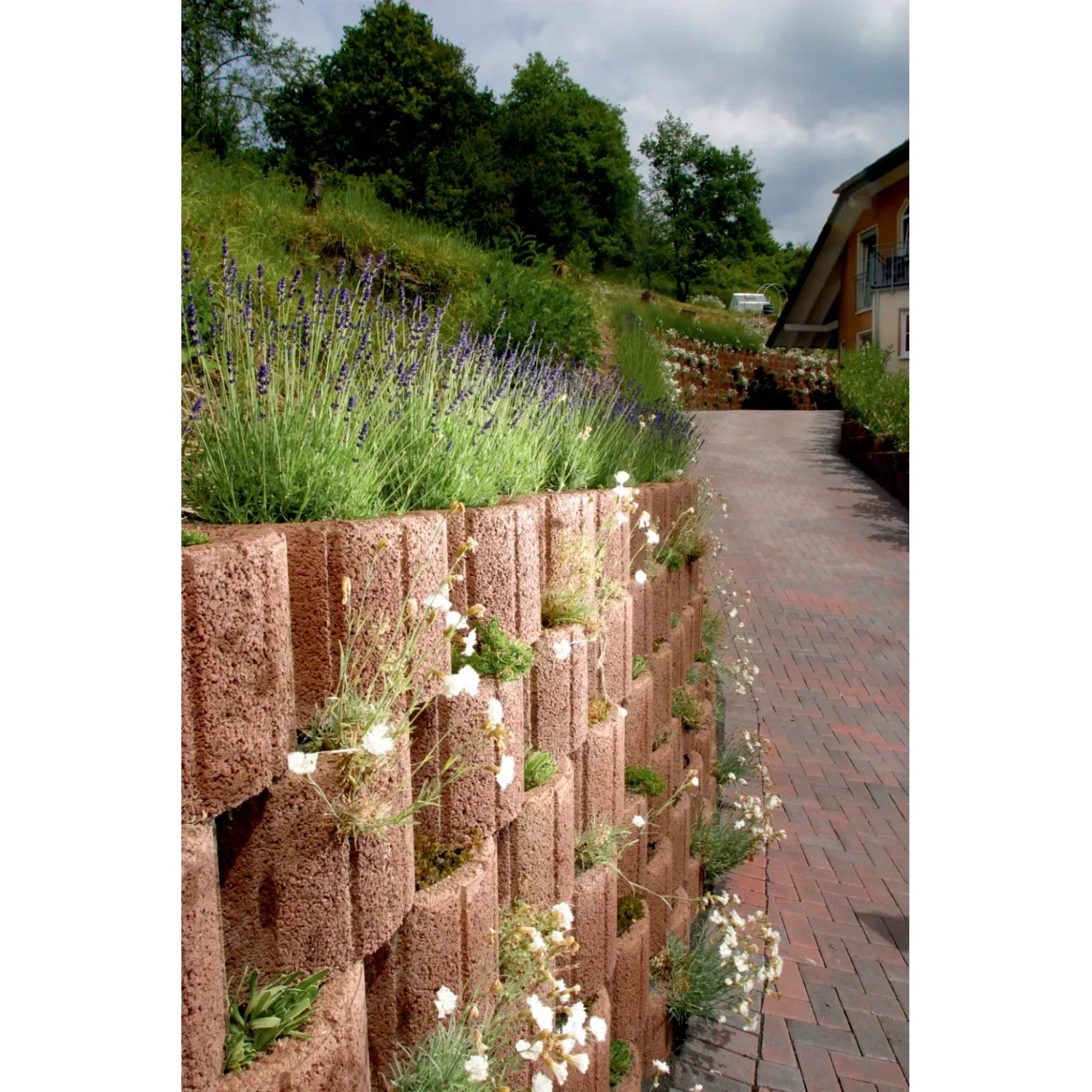Hangflor Pflanzring, 20x35x28 cm, braun, bepflanzt zur Hangbefestigung im Garten.