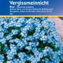 Kiepenkerl Vergissmeinnicht-Blau, Blumensamen für Beet- und Gruppenpflanzen.