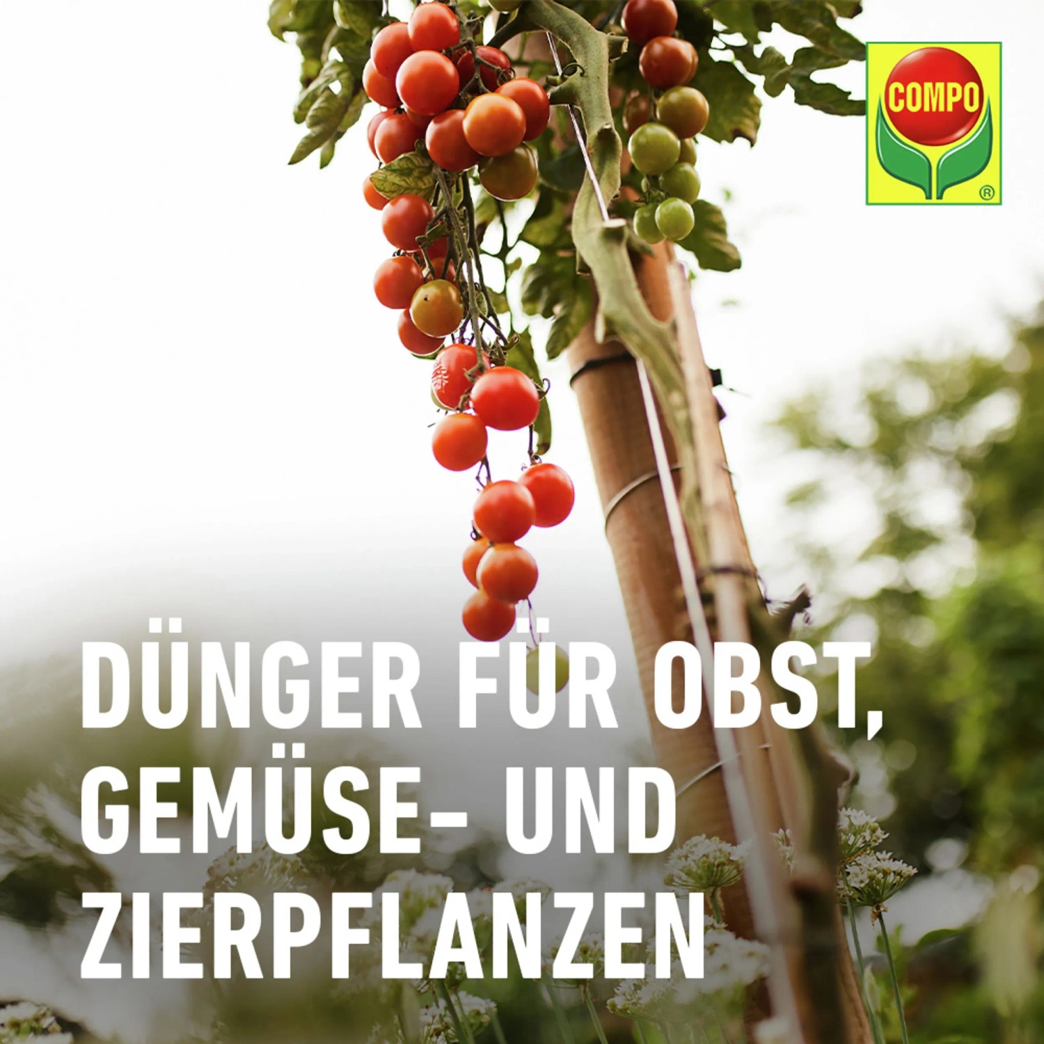 Compo Vital-Turbo 20 g kaufen bei OBI