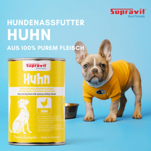 Supravit Nassfutter Huhn für Hunde. Gelbe Dose Hundefutter mit Hundewelpen auf blauem Hintergrund.