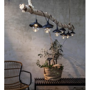 Solar-Lichterkette Globe Shade mit 10 Lampen an einem Ast, ideal als Deko für Garten und Balkon.