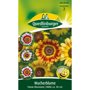 Quedlinburger Wucherblume 'Frohe Mischung' Samen für farbenfrohe Sommerblumen im Beet.