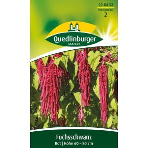 Quedlinburger Fuchsschwanz Rot Blumensamen mit roten, überhängenden Blütenrispen.