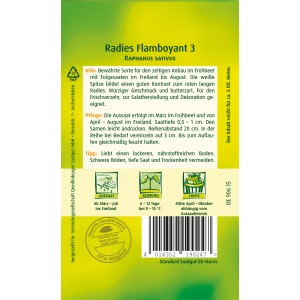 Samentüte Quedlinburger Radieschen 'Flamboyant 2', länglich, rot-weiße Sorte für den Freilandanbau.