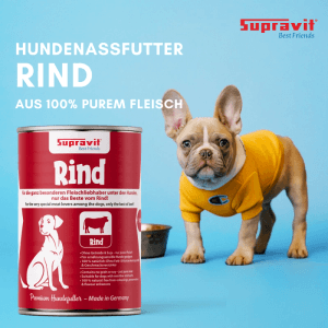 Rote Supravit Nassfutterdose Rind für Hunde, daneben ein Französische Bulldogge Welpe in gelbem Shirt.
