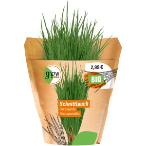 Grow by OBI Schnittlauch im Topf, ein aromatisches Küchenkraut für Beet oder Balkon.