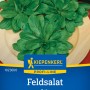 Kiepenkerl Feldsalat Gala: Frischer, grüner Feldsalat auf einem Teller, samenfest und ertragreich.