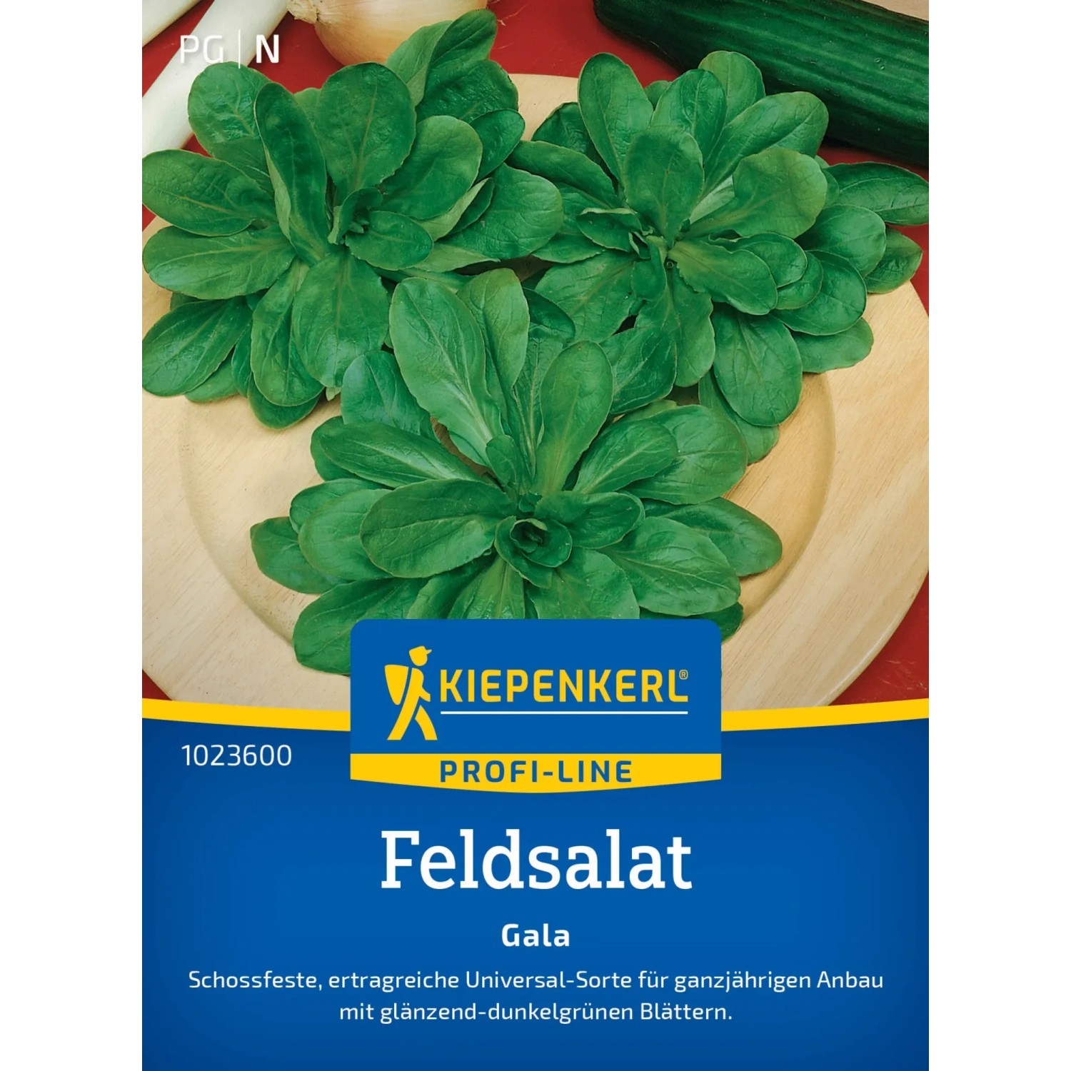 Kiepenkerl Feldsalat Gala: Frischer, grüner Feldsalat auf einem Teller, samenfest und ertragreich.