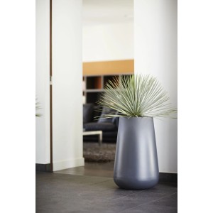 Hoher, schwarzer Elho Blumentopf Pure Cone (Ø 43 cm) mit Pflanze im Innenraum.
