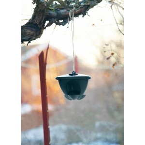 Schwarz-grünes Vogelfutterhaus Birdie hängend im Garten.