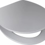 Grauer baliv WC-Sitz Tonda mit Absenkautomatik und MDF-Holzkern.