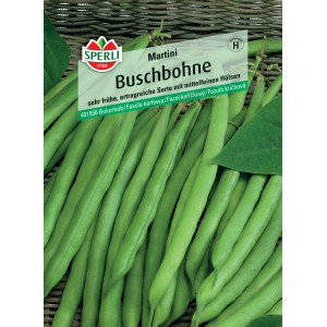 Sperli Saatgut Buschbohne Martini