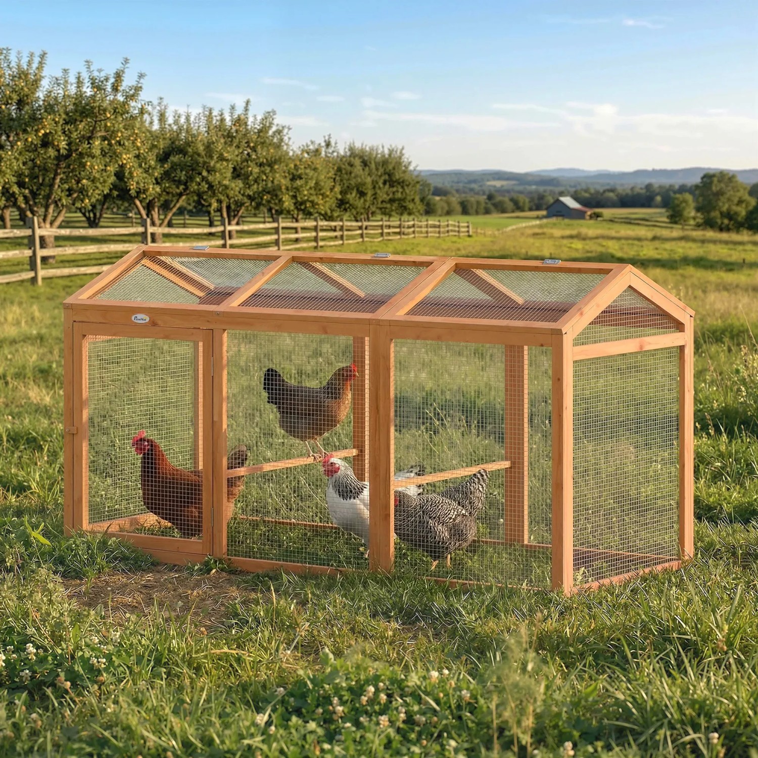 PawHut Hühnergehege aus Tannenholz mit Drahtgeflecht, drei Hühner im Freilauf im Garten.