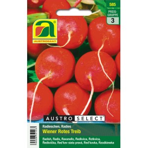 Austroselect Radieschen Wiener Rotes Treib Saatgut, rote, runde Radieschen.