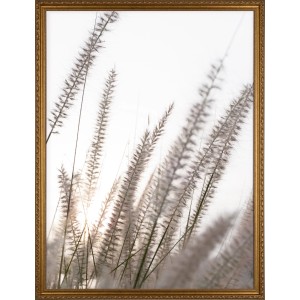 Holzbilderrahmen Gold, verschnörkelt, 60x80 cm. Barock Rahmen für Fotos und Poster.