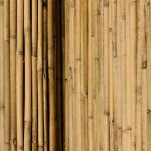Sol Royal Bambus Sichtschutzzaun, Naturzaun aus Bambusrohren für Garten & Balkon.