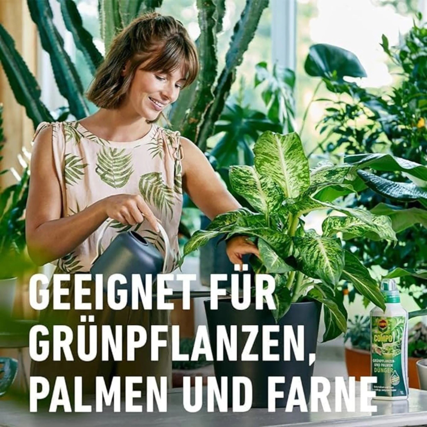 dünger spanisch Bio Minze spanisch (Mentha spicata var. hispanica)