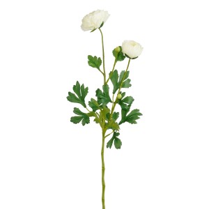 Cremefarbene Kunstblume Ranunculus, 70 cm, detailgetreue Nachbildung für eine elegante Deko.