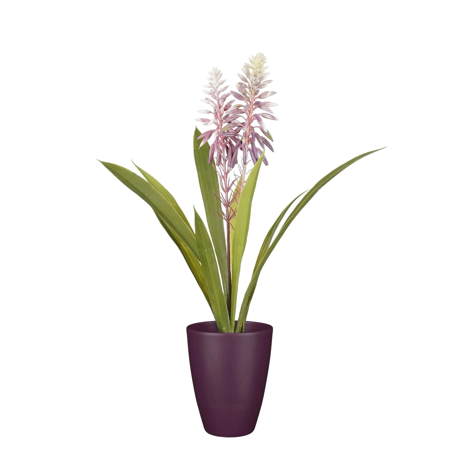 mediplast aloe vera gel MEDIHEAL Aloe Vera Hydrogel 300g
