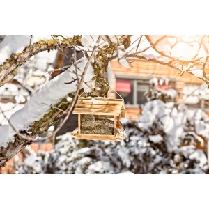 Holz Vogelfuttersilo Großvenediger mit Futter und Vogel im winterlichen Garten.
