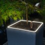 Lechuza Canto Stone Pflanzkübel mit LED-Lichtband, Quarzweiß, 40x40 cm.
