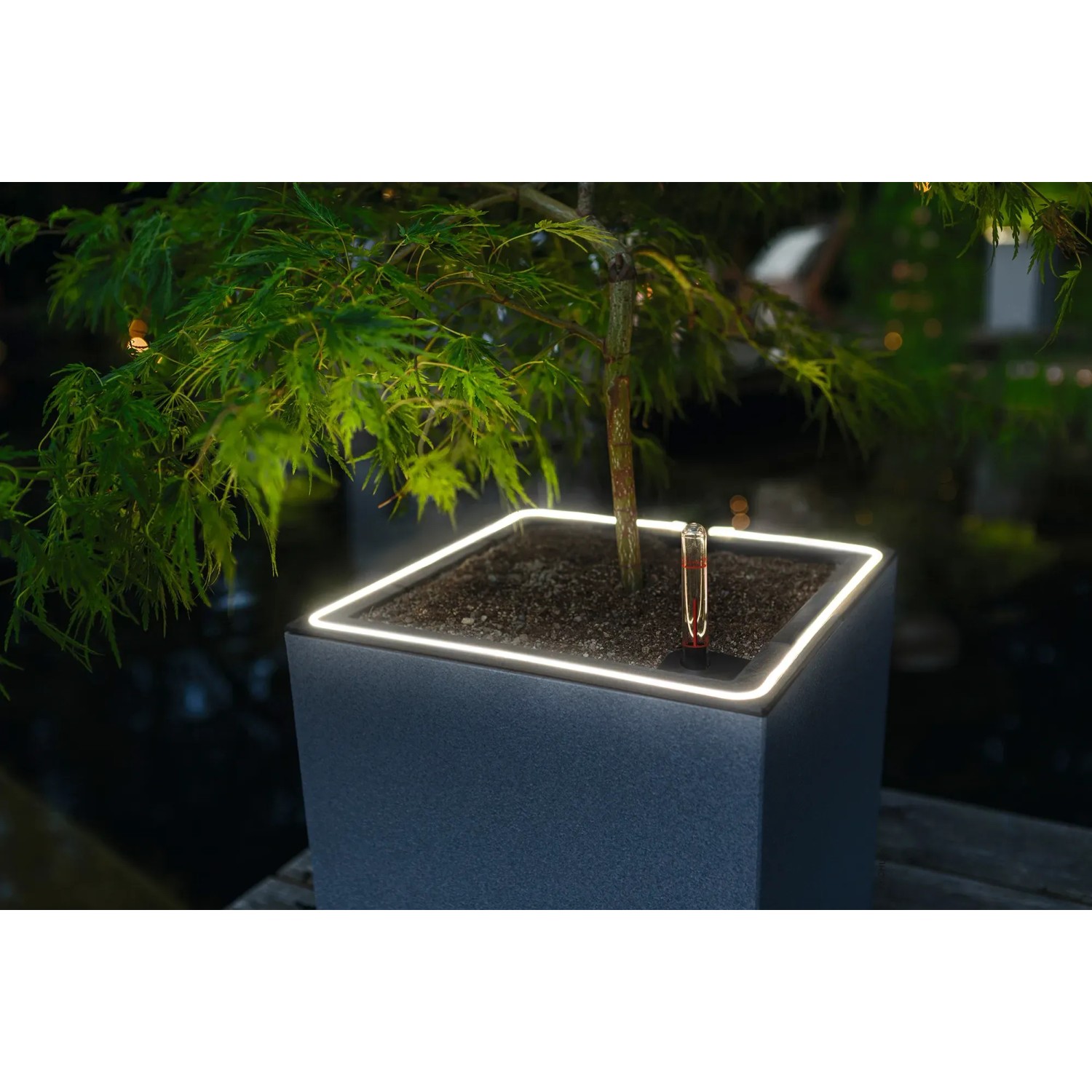 Lechuza Canto Stone Pflanzkübel mit LED-Lichtband, Quarzweiß, 40x40 cm.