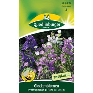 Samentüte Quedlinburger Glockenblume Prachtmischung mit blauen, lila und weißen Blüten.