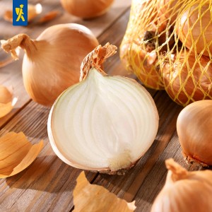 Kiepenkerl Gelbe Schalotten, Gr.7/14, 400 g