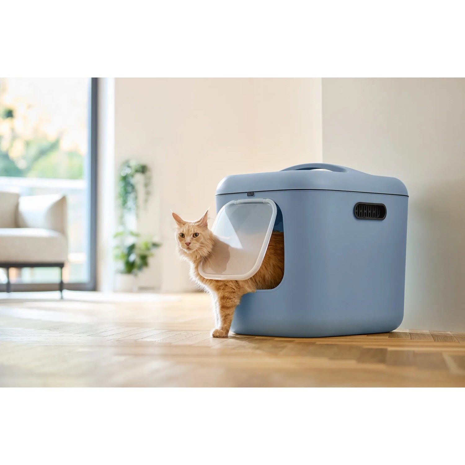 Rotho Katzentoilette Biala XL Horizotblau kaufen bei OBI