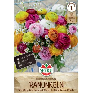 Sperli Ranunkeln Mischung mit bunten, gefüllten Blüten im Topf, geeignet für Beet und Kübel.