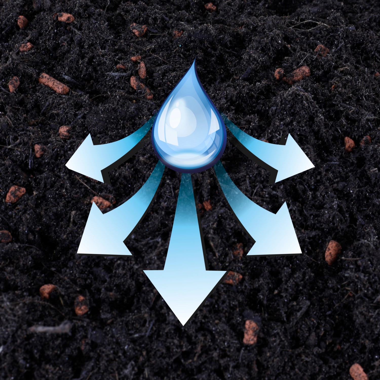 Seramis Kakteen Substrat: Wasseraufnahme und Verteilung im Spezial-Substrat für Sukkulenten.