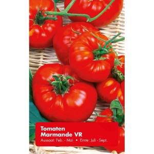 Rote Tomaten Marmande VR, eine gerippte Fleischtomate, auf einem Bild für Gemüsesamen.