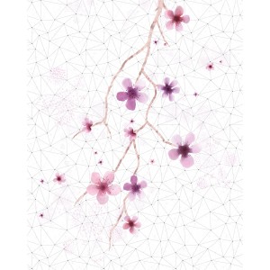 Komar Vlies Fototapete Cherry Tree (200x250 cm) mit zarten Kirschblüten auf weißem Grund.