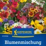 Kiepenkerl Wildblumen Amerikanische Landblumenmischung für bunte Blumenbeete.