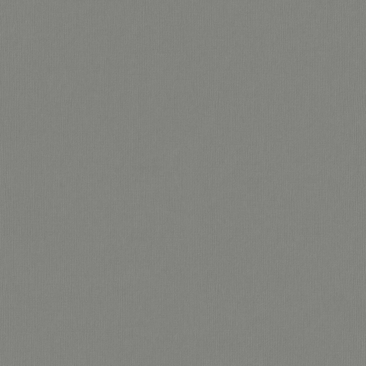 Graue Erfurt Vliesfaser Colour 302-2 Tapete, detailreiche Textur.