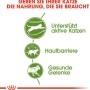 Grafik zu Royal Canin Outdoor Katzenfutter: Unterstützung für aktive Katzen, Hautbarriere und gesunde Gelenke.
